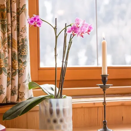 Fliana Arlberg & Apartment